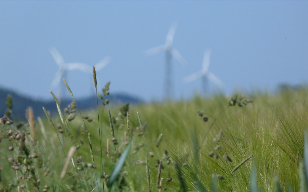 Socioekonomiska värden för hållbar vindkraftsutveckling & ökad acceptans